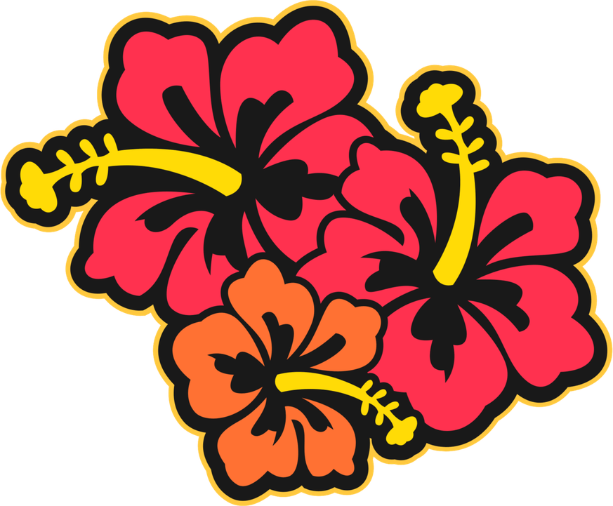 Hawaii Flower PNG