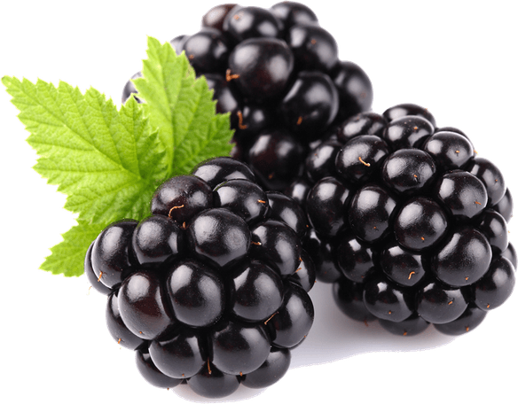 Blackberry Fruit PNG