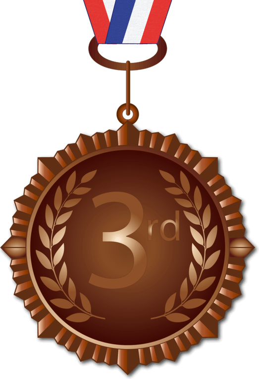 Bronze Medal PNG