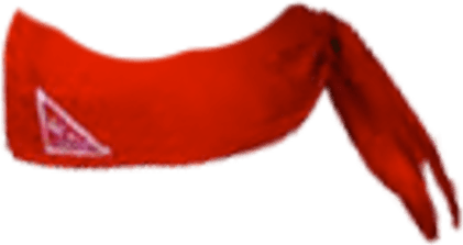Red Bandana PNG