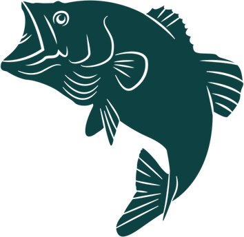 Bass Fish PNG
