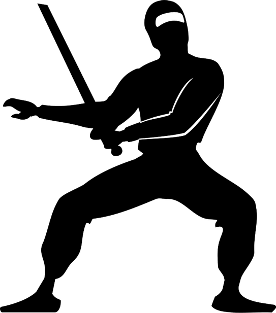 Ninja PNG