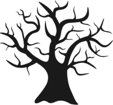 Tree Without Leaves PNG