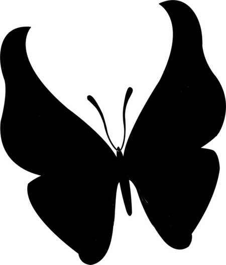 Butterfly Brushes PNG