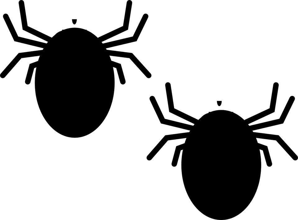 Tick Insect PNG