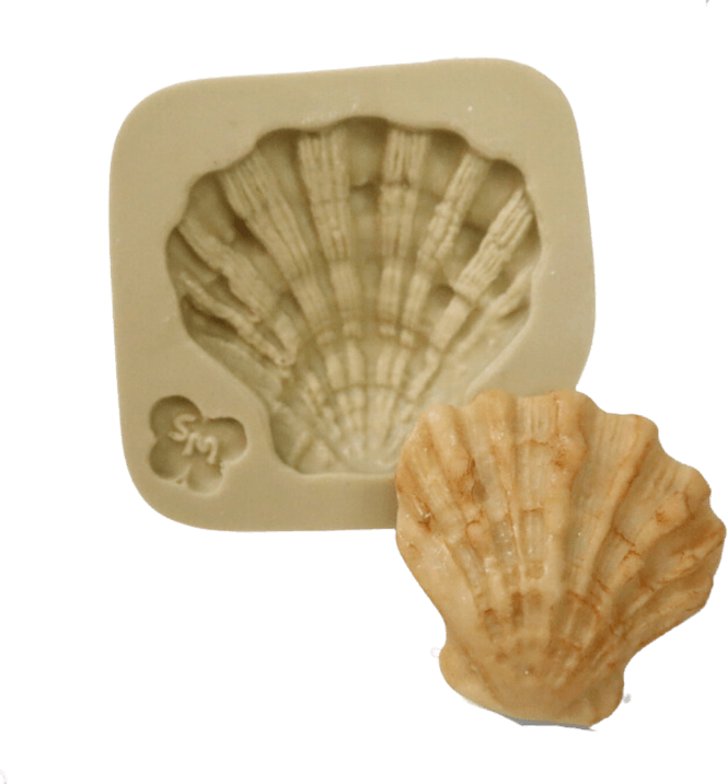 Concha PNG