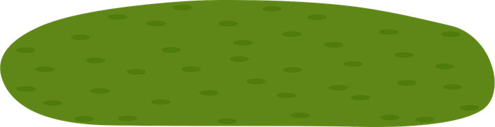 Little Grass PNG