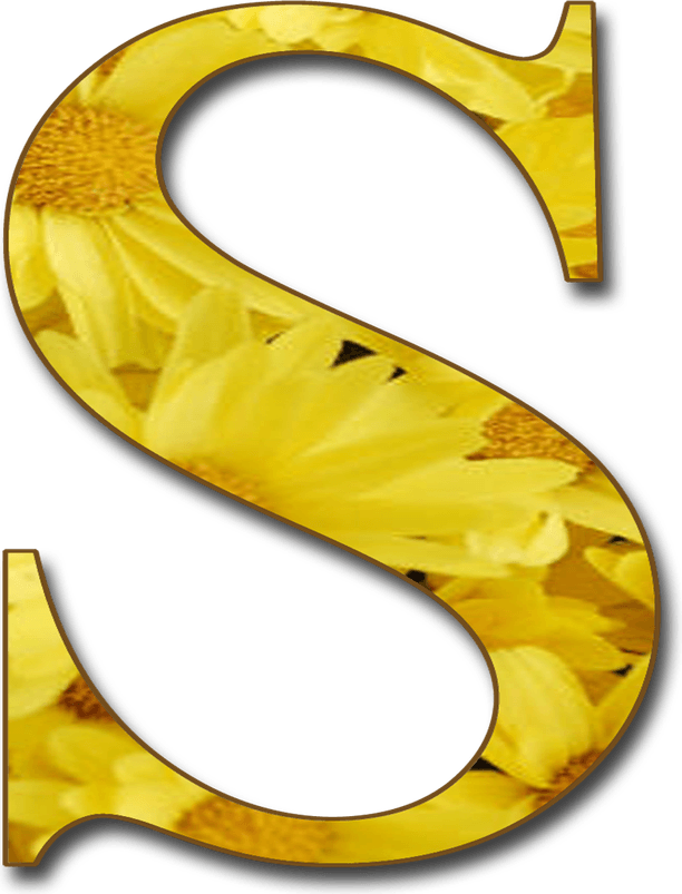 S Letter PNG