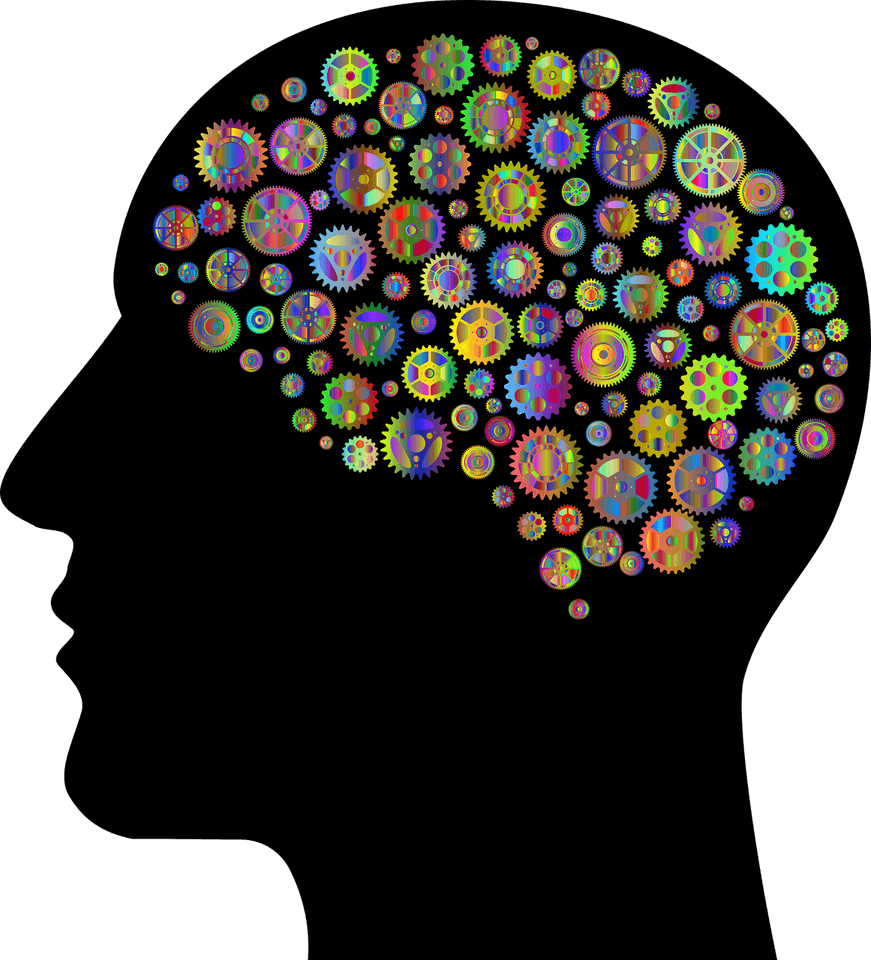 Brain Gears PNG