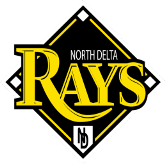 Rays Baseball PNG