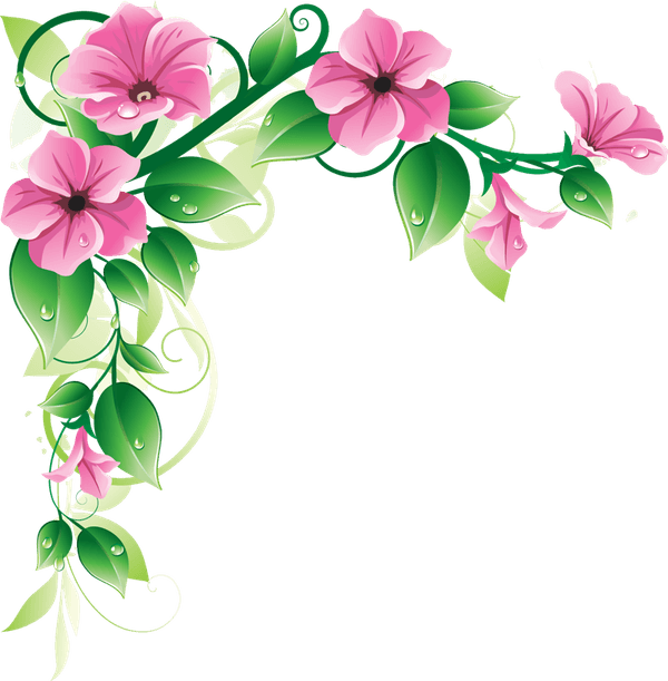 Flowers Borders PNG