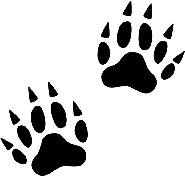 Footprint PNG