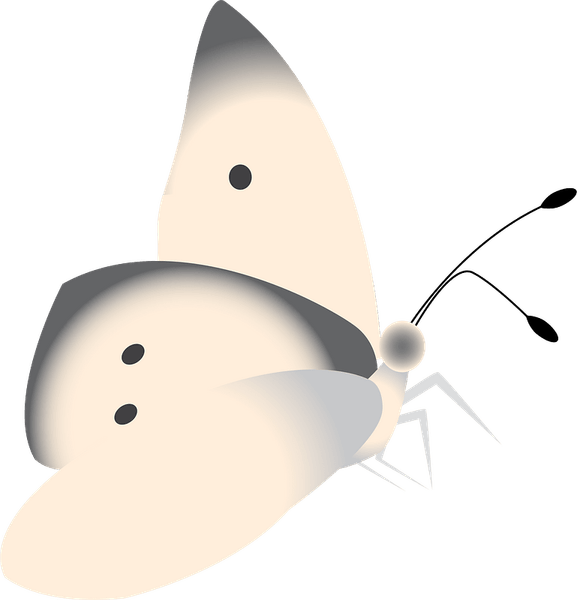 Cabbage Butterfly PNG