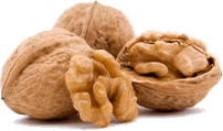 Walnut PNG