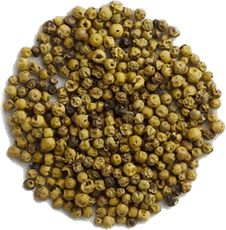 Mung Bean PNG