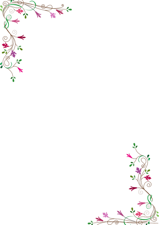 Wildflower Border PNG