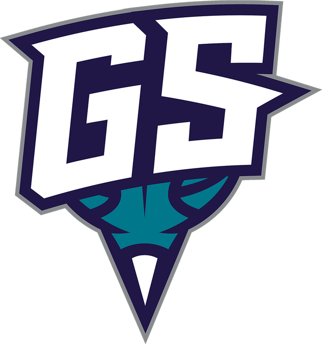 Greensboro Swarm PNG