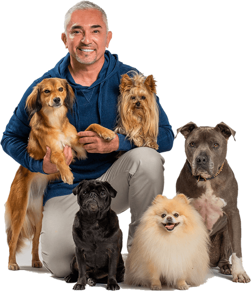 Cesar Millan PNG