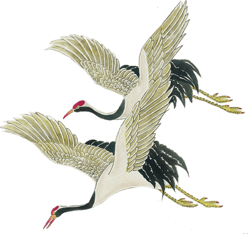 Master Crane PNG