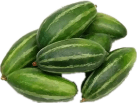 Pointed Gourd PNG