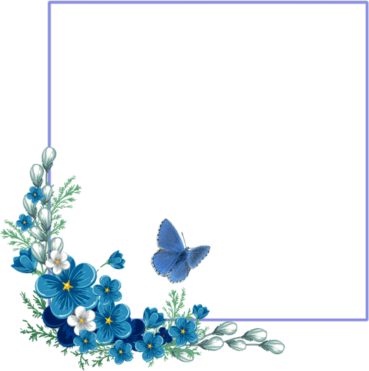 Border Frame PNG