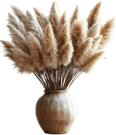 Boho Pampas Grass PNG
