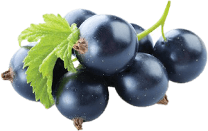 Blackcurrant PNG