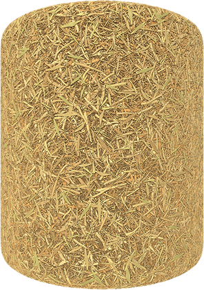 Dry Grass PNG