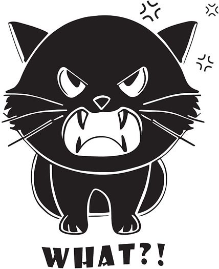 Hissing Cat PNG