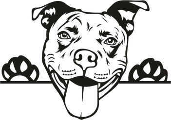 Pit Bulls PNG