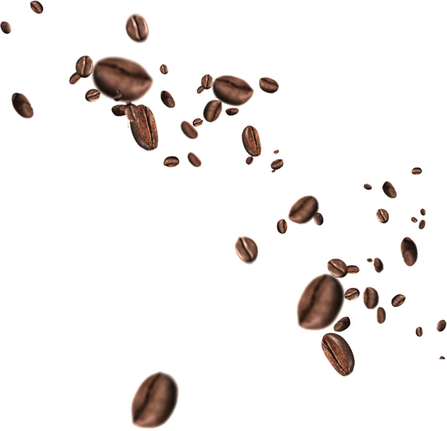 Coffee Bean PNG