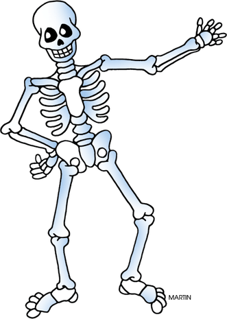 Skeleton Cartoon PNG