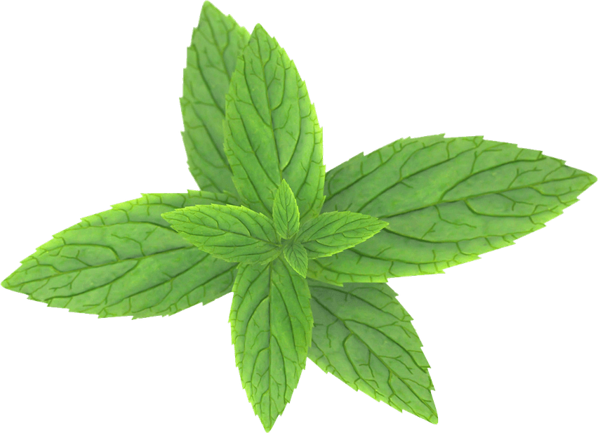 Peppermint PNG