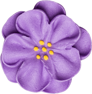 Dainty Flower PNG