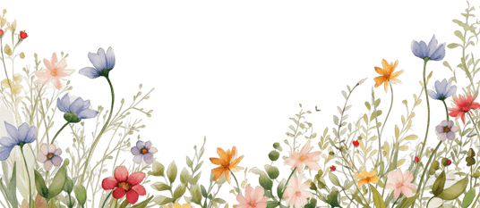 Wildflower Border PNG