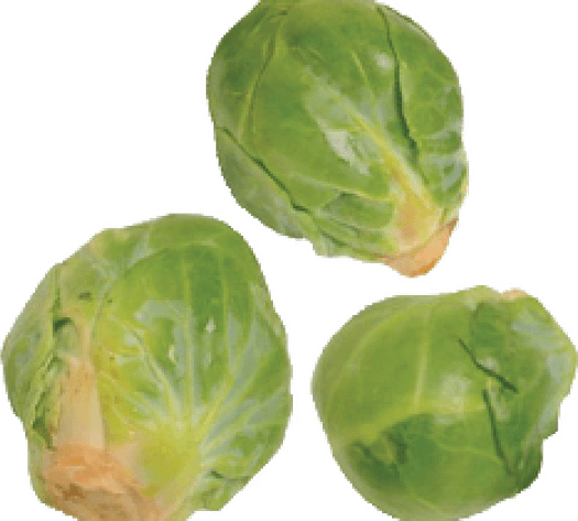 Brussel Sprout PNG
