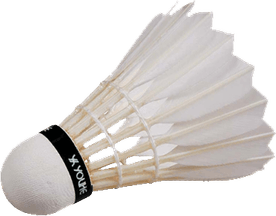 Badminton PNG