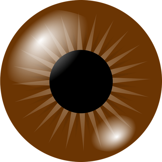 Brown Eyeball PNG