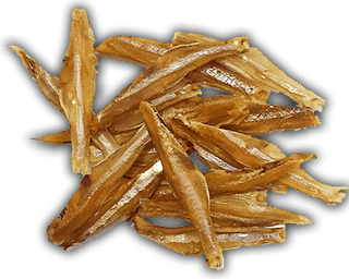 Dry Fish PNG