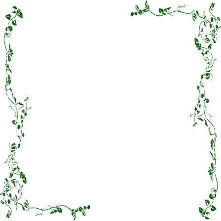 Jungle Vines PNG