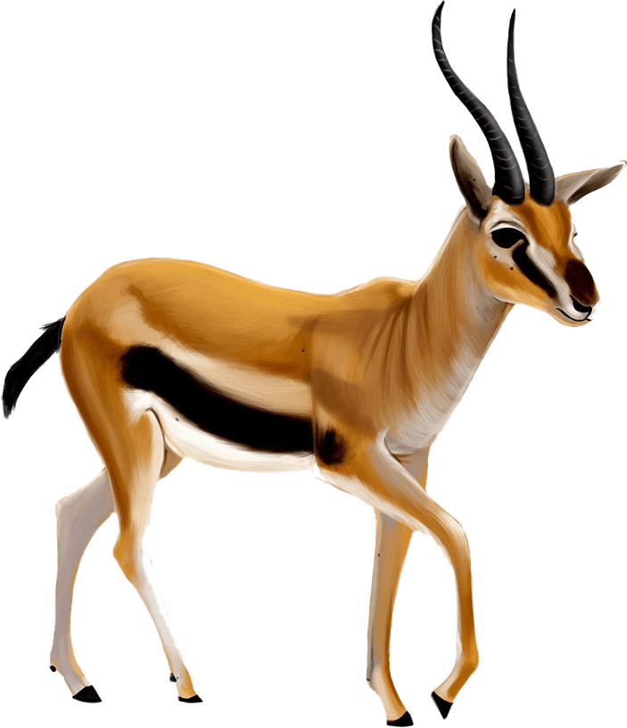 Pronghorn PNG