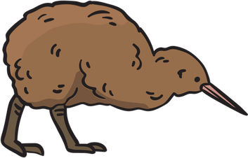 Cartoon Kiwi Bird PNG