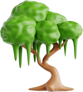 Weeping Willow Tree PNG