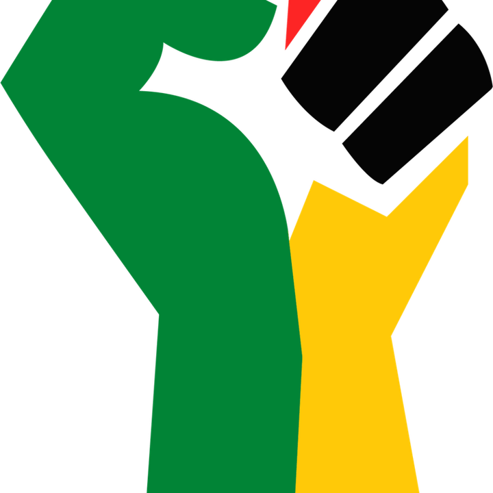 Fist PNG