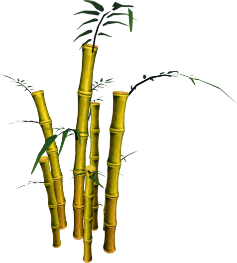 Bamboo Tree PNG