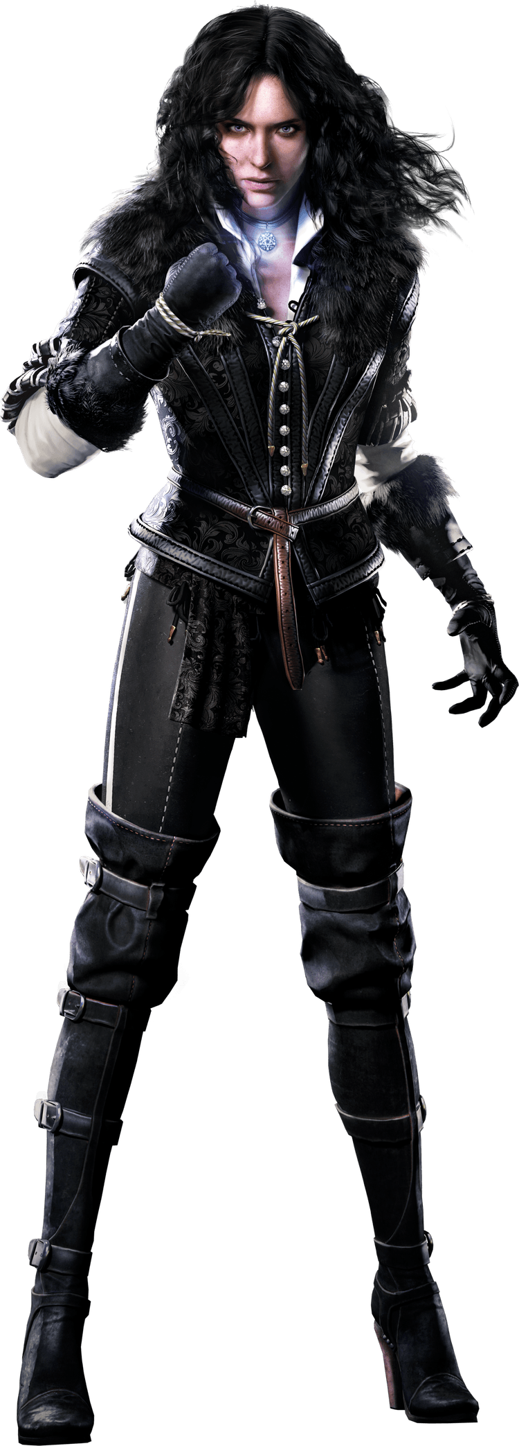 The Witcher PNG