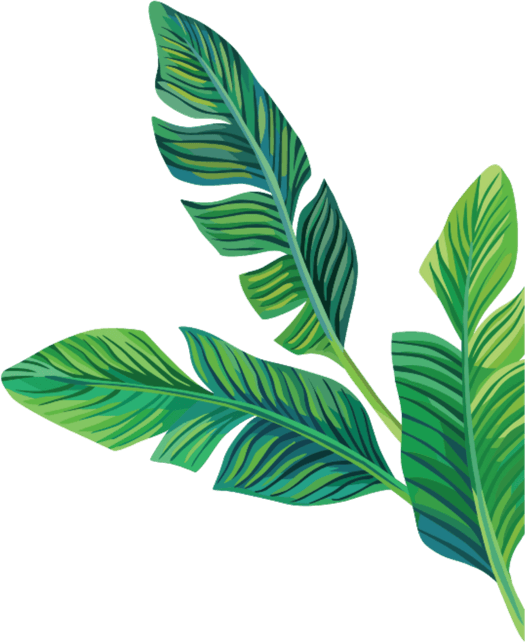 Aesthetic Leaves PNG