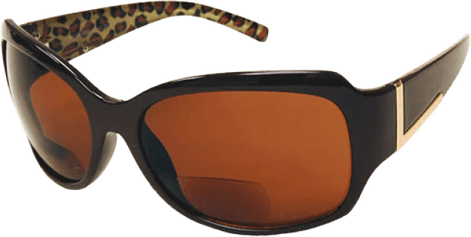 Stylish Sunglasses PNG