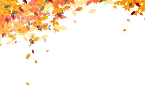 Fall Leaves PNG