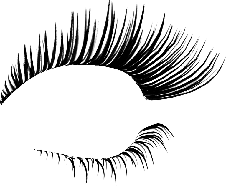Eyelash Logo PNG